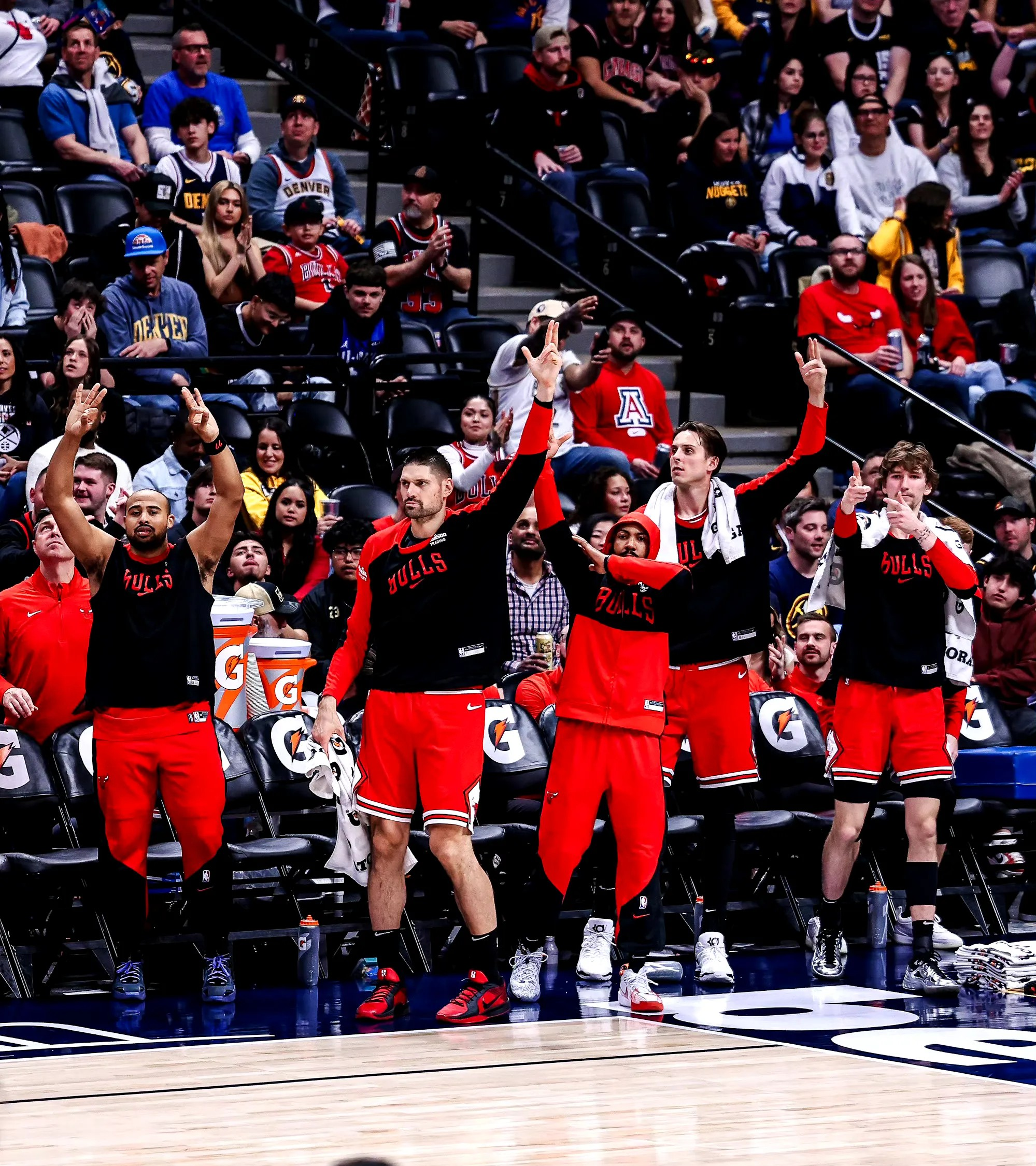 关于公牛轻取灰熊，波特爆发神勇的信息