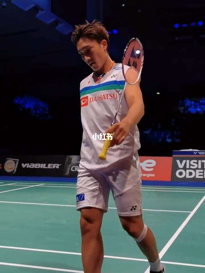 印度羽毛球队绝地反击丹麦羽毛球队，桃田贤斗高光表现的简单介绍