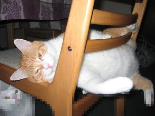 开云体育app-德罗赞绝杀森林狼，莫兰特东决主宰战局，篮球世界的双星闪耀时刻