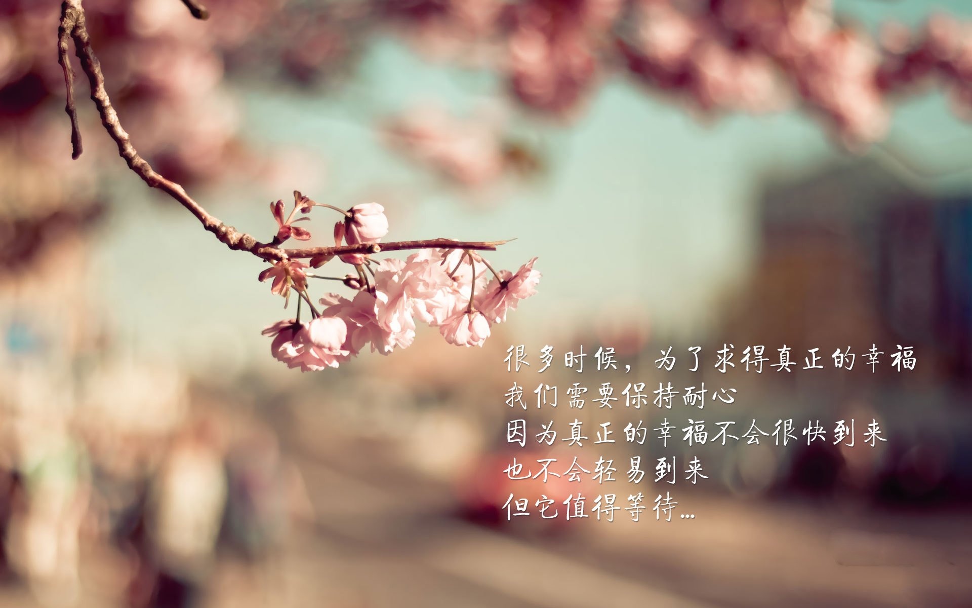 降维打击！莫兰特圣城献艺，上海队防线的绝望艺术