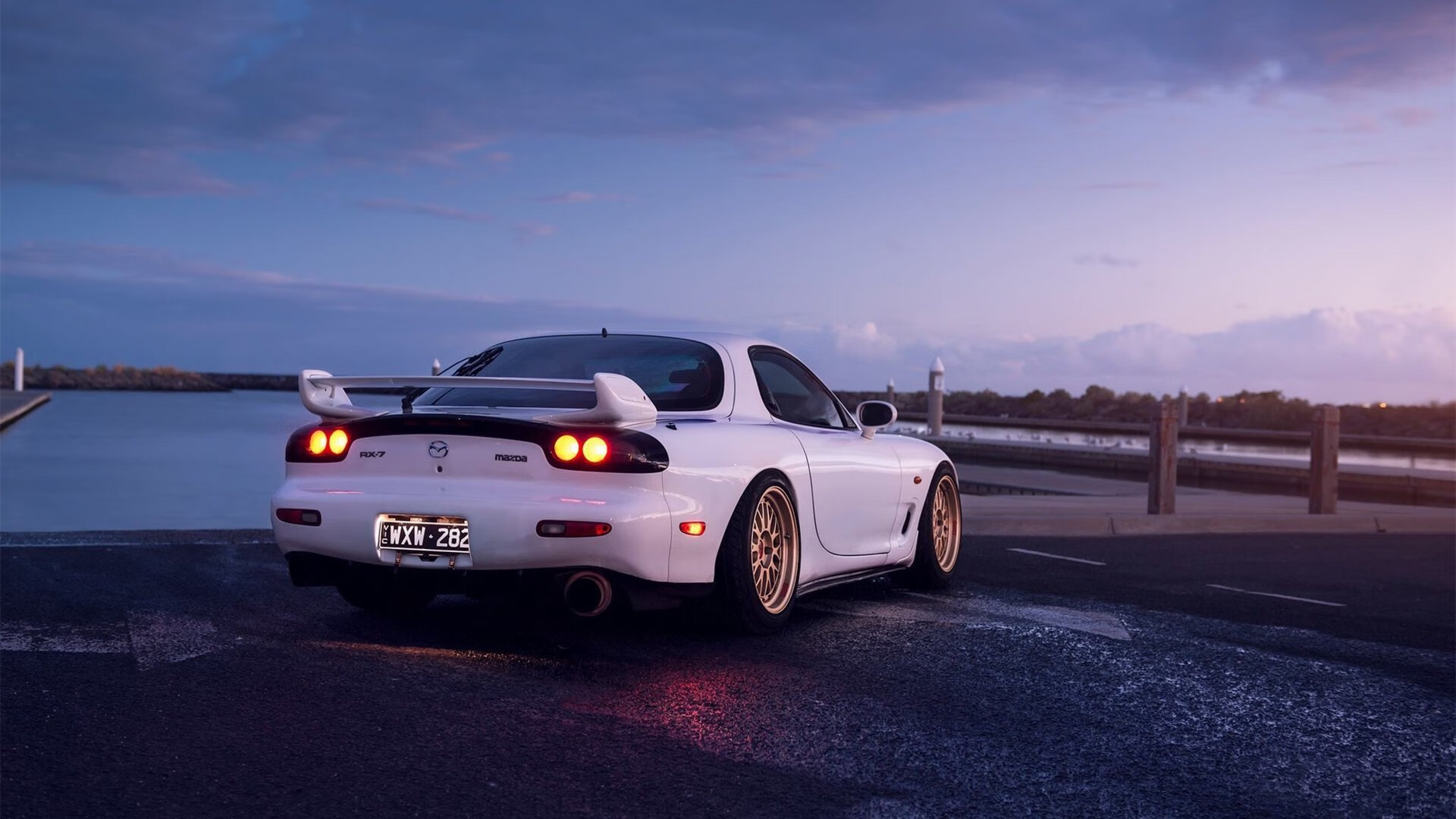 绿野与星光，加维的攻防艺术