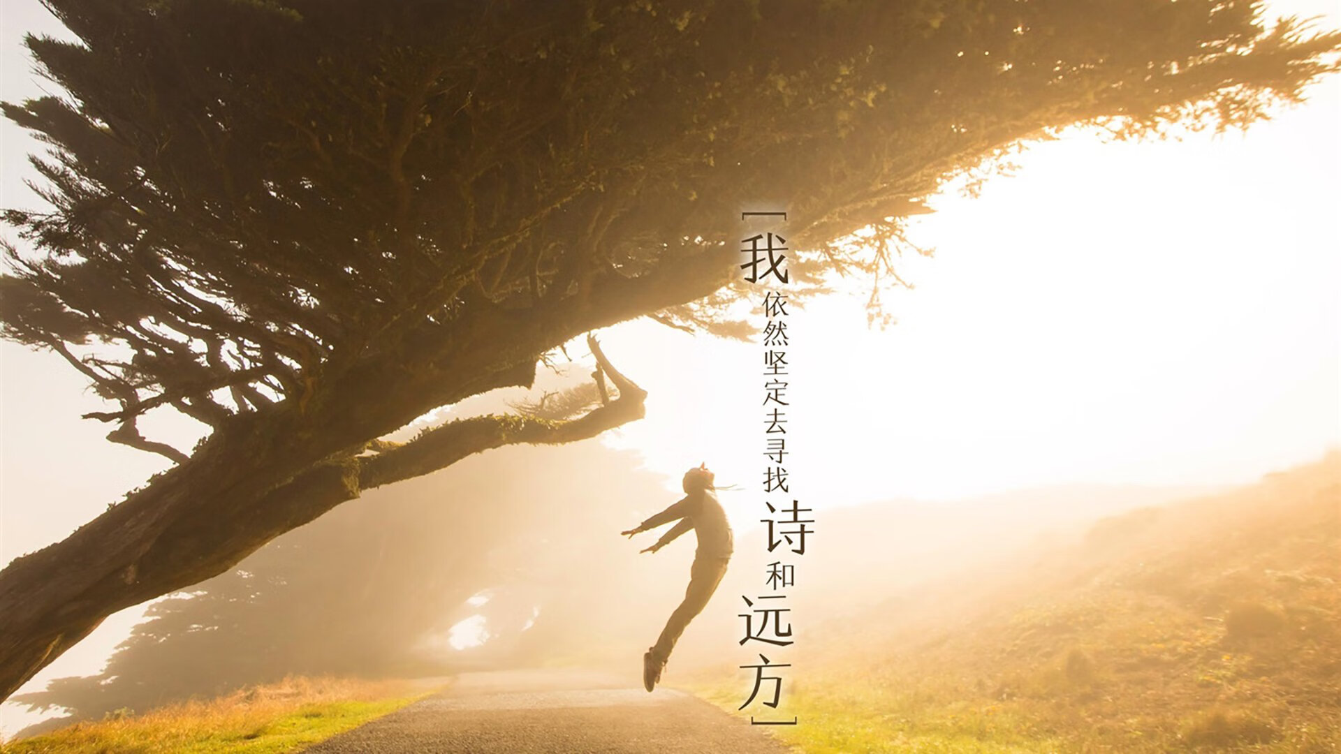 福克斯燃烧的夜晚,当个人英雄主义遇上森严体系,森林狼的防御之网让奇才窒息