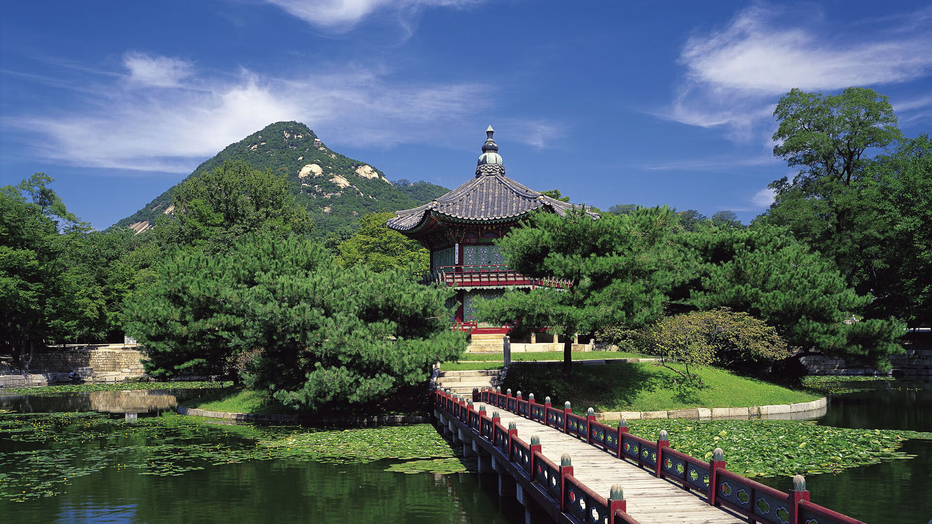 开云体育APP下载-非洲雄鹰对阵全黑军团，布雷默以一己之力点燃赛场—记那场载入史册的跨洲对决