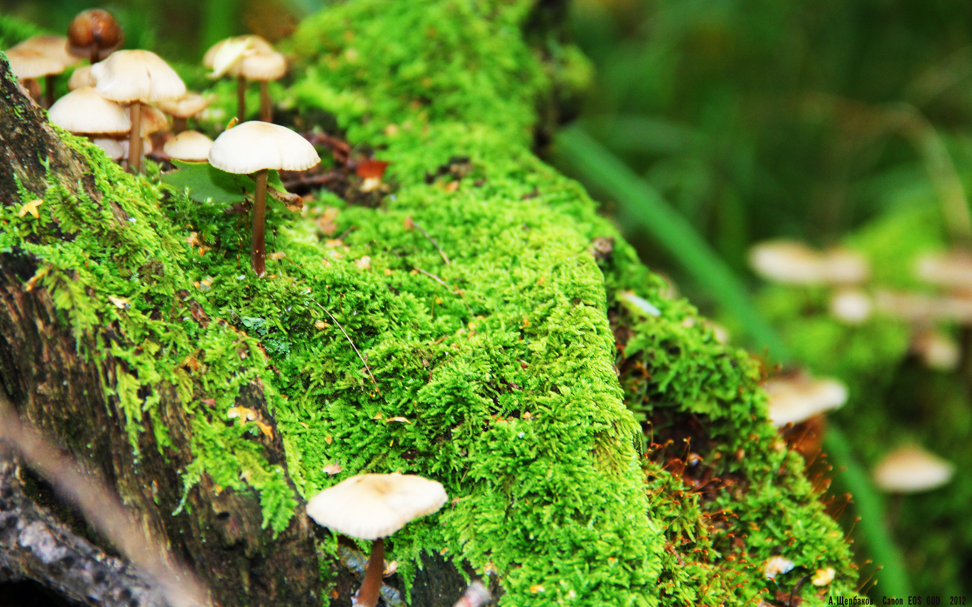 开云体育中国-掌控与压制，两种篮球哲学的胜利启示