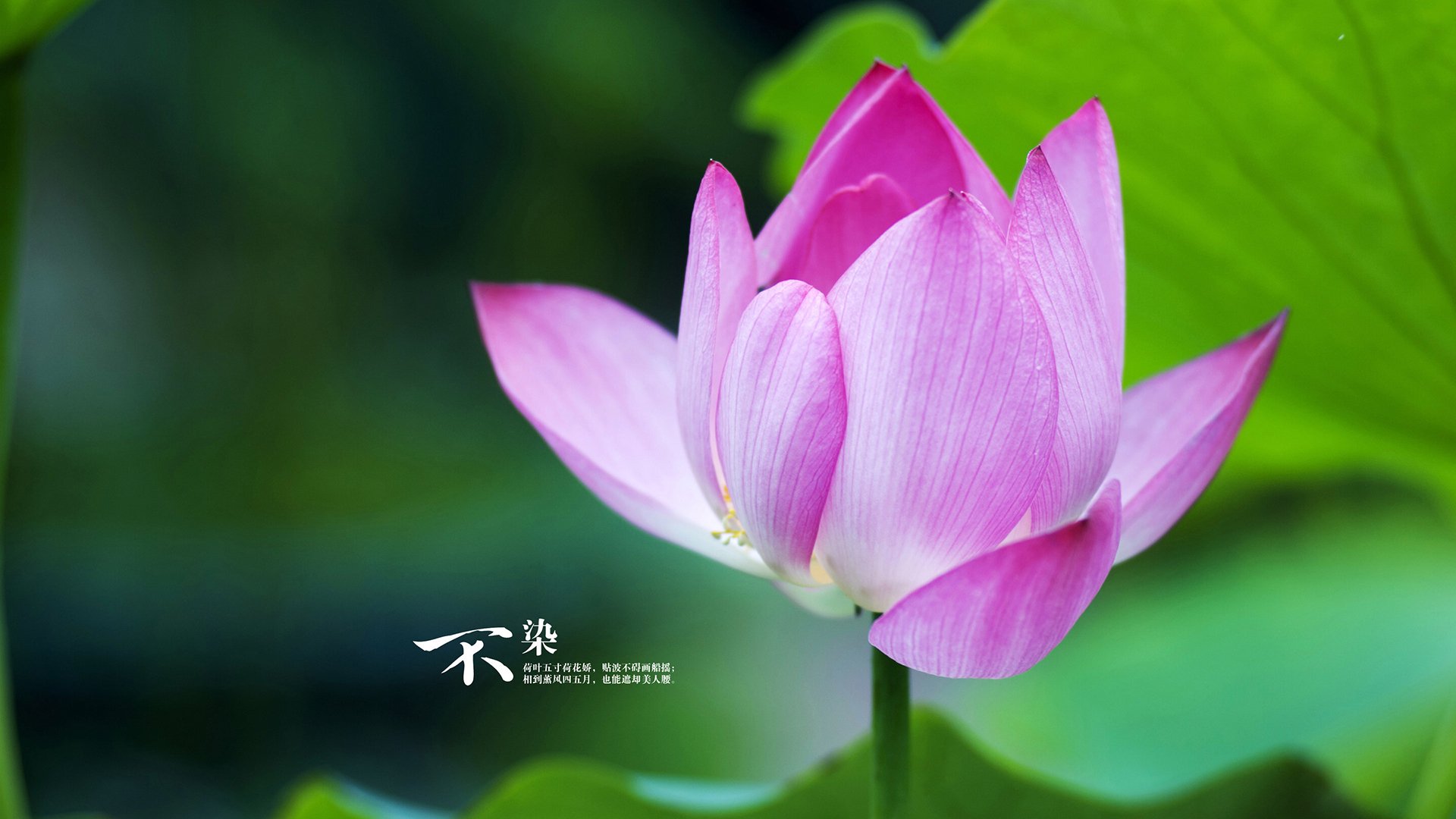 当穆勒站在东决赛场，在三个时空的交汇点，他定义了高能输出