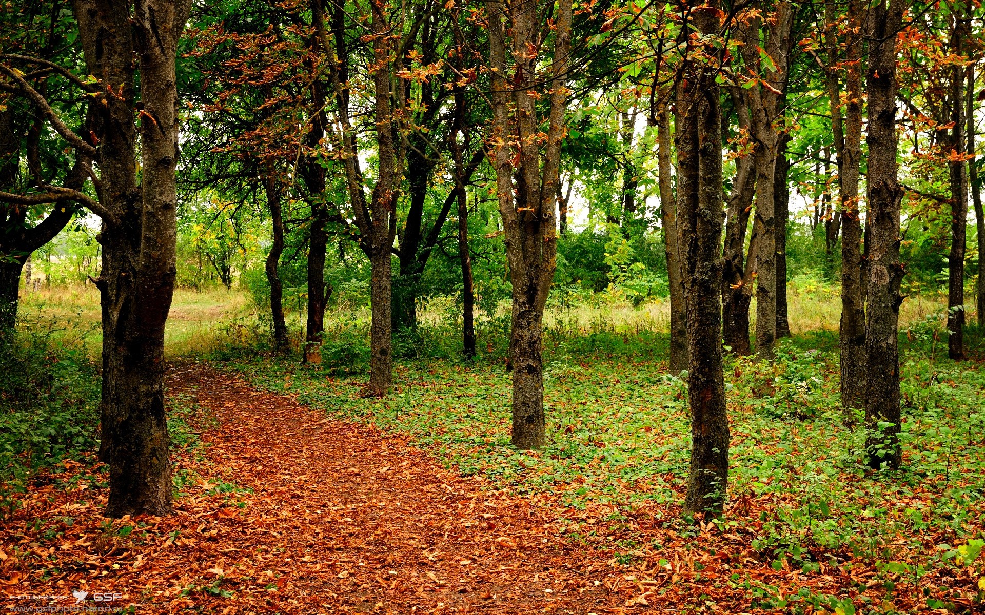 闪光的李刚仁与末节风暴，哥伦比亚险胜摩纳哥