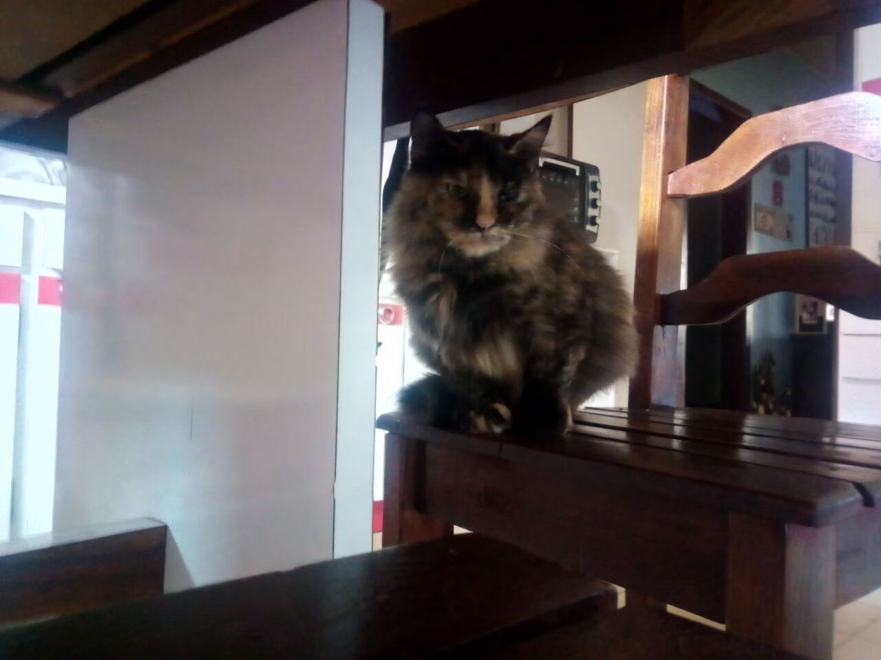 开云体育官网-逆袭之战,米切尔如何以攻防转换核心身份带领吉林掀翻辽宁