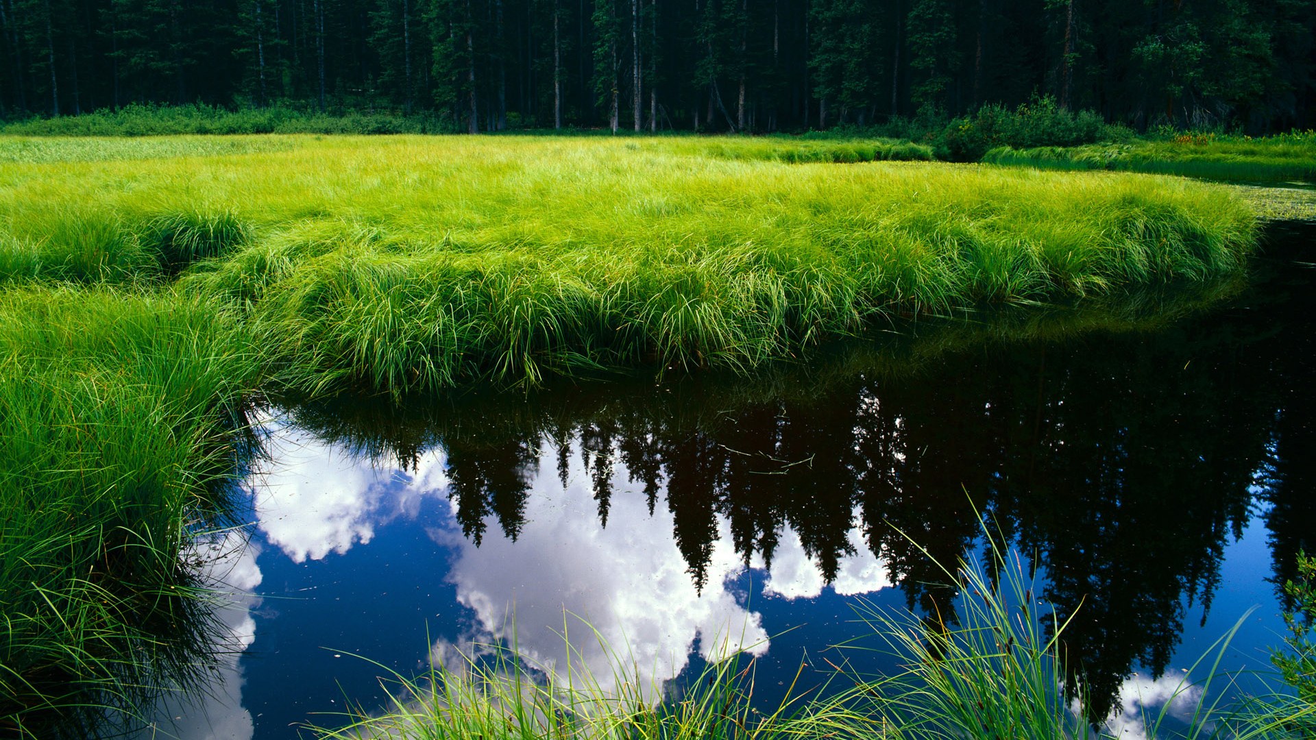 篮球双线告捷，勇士淘汰赛强势过关新疆队，布伦森欧冠半决赛接管比赛创传奇